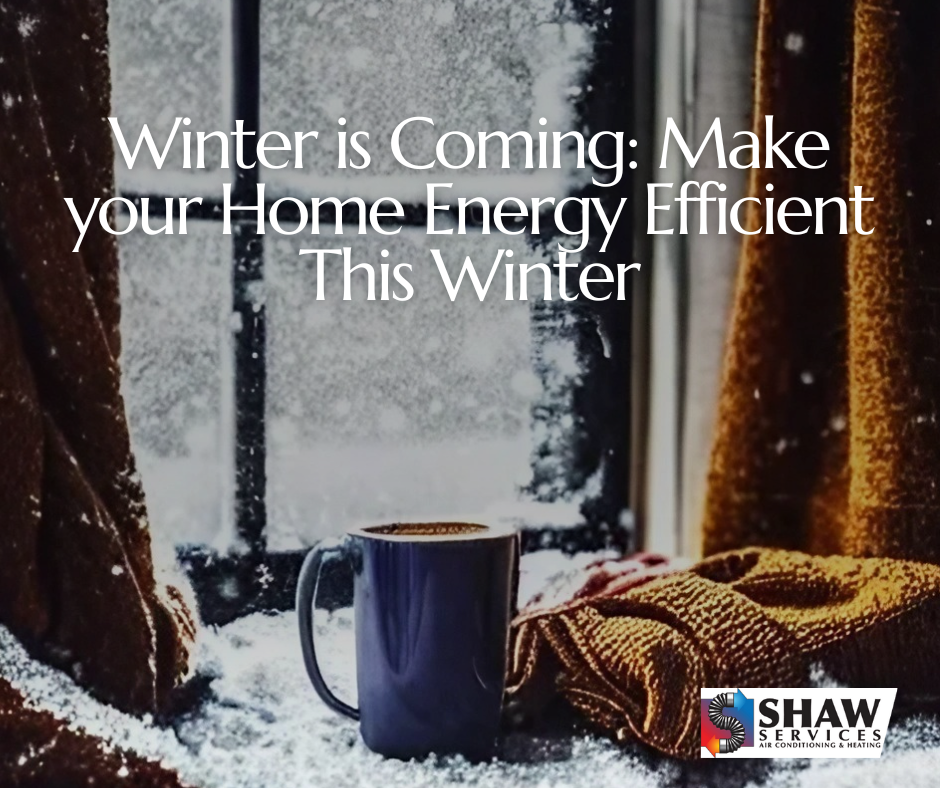 Winter is Coming Make your Home Energy Efficient This Winter